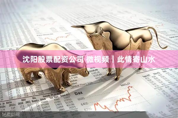 沈阳股票配资公司 微视频｜此情寄山水